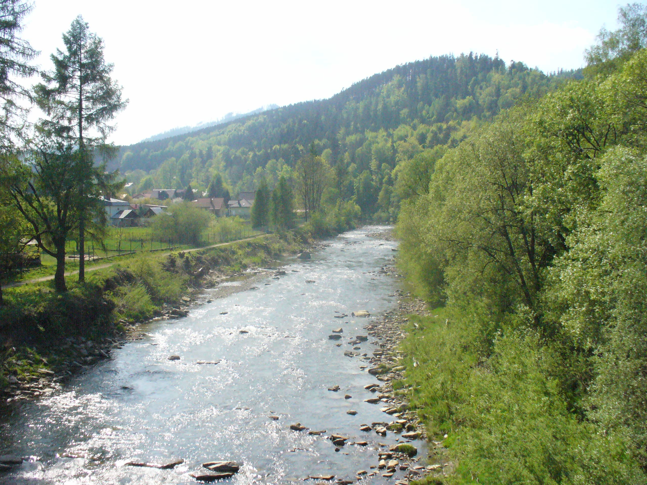 Basen i rzeka